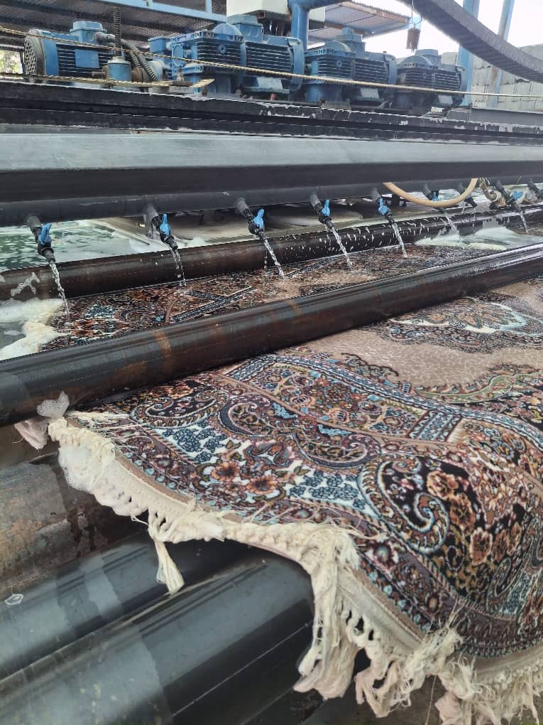 تخصص و تجربه